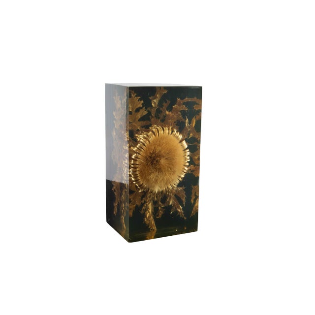 Decorative sculptural resin block by Pierre Giraudon, preserving a dramatic thistle flower and foliage suspended within a...