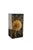 Decorative sculptural resin block by Pierre Giraudon, preserving a dramatic thistle flower and foliage suspended within a...