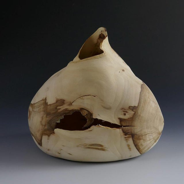 Languid#2 Vase in Fig Tree Wood by Yann Marot For Sale - Image 4 of 7