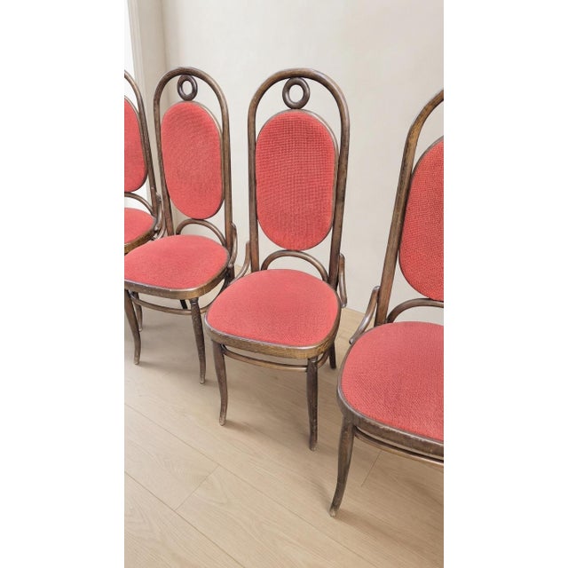 Vintage Bentwood Dining Chairs with High Backrests from Thonet, 1920s, Set of 8 For Sale - Image 4 of 7