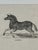 Webb & Millington, The Panorama of Horses, 1850, Engraving For Sale - Image 6 of 18