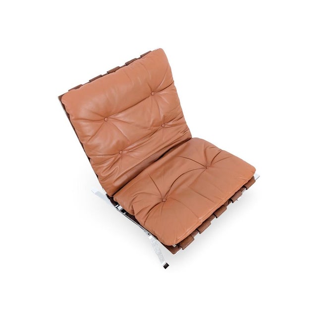 RH 301 Armchair by Robert Haussmann and Mies van der Rohe for de Sede For Sale - Image 5 of 12