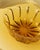 Yellow Vintage Amber Murano Glass Bowl with Ribbed Pattern, Italy, 1920s For Sale - Image 8 of 11