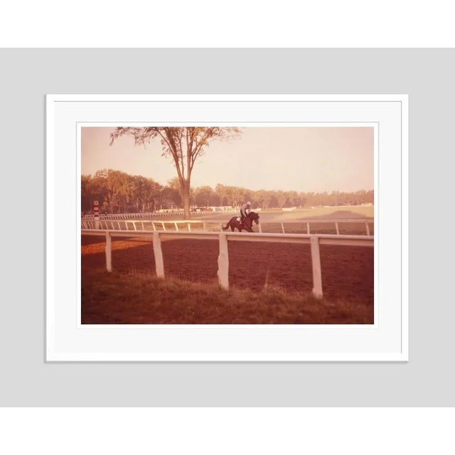 Morning training at saratago 1960 by toni frissell a racehorse at morning training, saratoga, usa, 1960. antoinette...