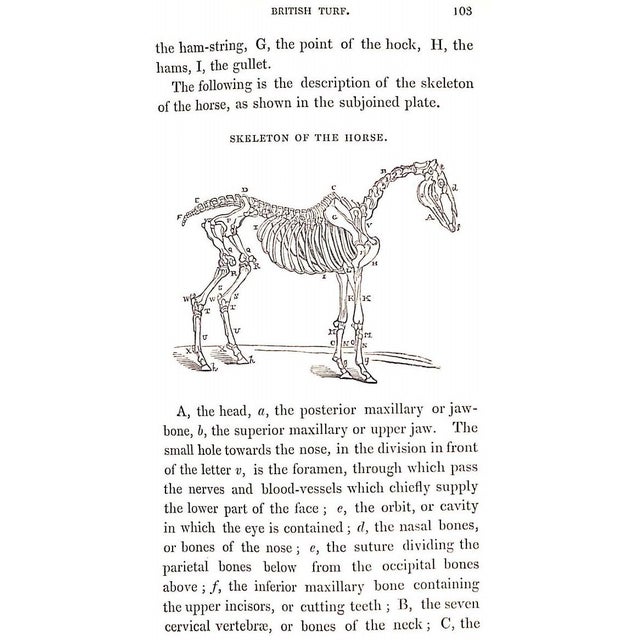 "History of the British Turf From the Earliest Period to the Present Day" 1840 Whyte, James Christie Esq For Sale In New York - Image 6 of 9