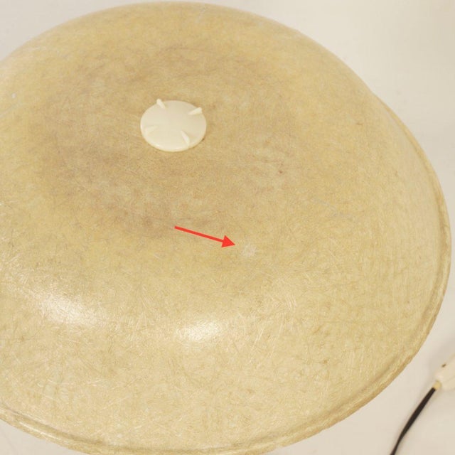 Plastic Fiberglass Table Lamp by Louis Kalff for Philips, 1958. For Sale - Image 7 of 10