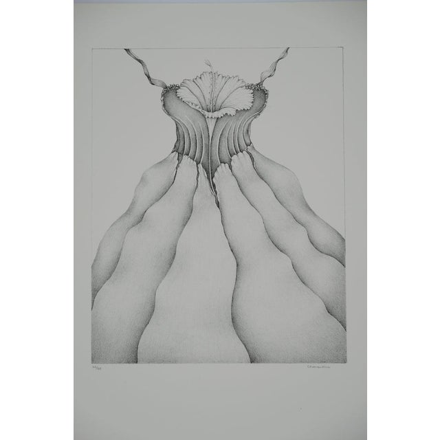 Gochka Charewicz, Tour Végétale, Lithograph For Sale - Image 8 of 8