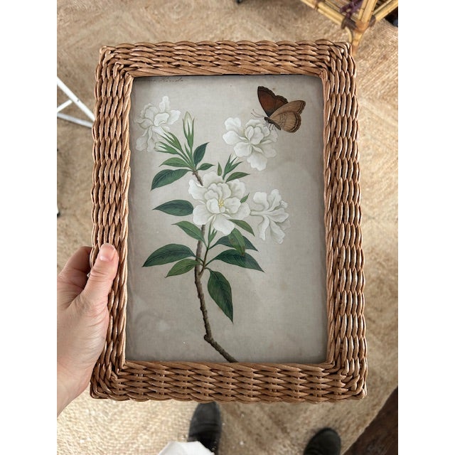 Very charming Anglo-Chinese School botanical study in watercolor on paper of a flowering gardenia branch with butterfly,...