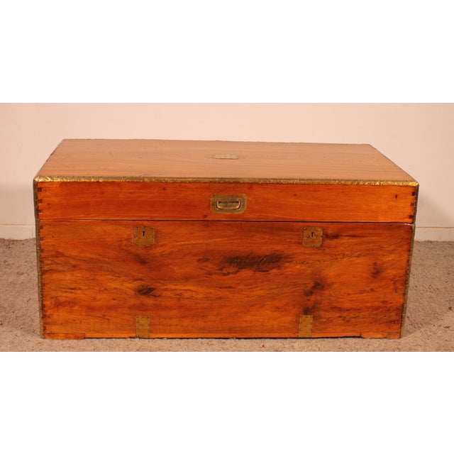 19th Century Marine Chest in Camphor Wood For Sale - Image 13 of 13