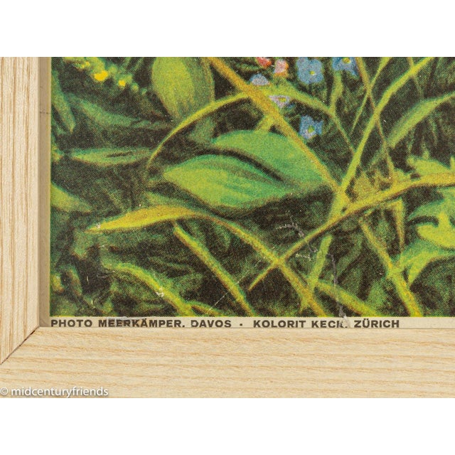 Davos Poster by Emil Meerkämper, 1935 For Sale - Image 9 of 14