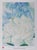White Rose with Larkspur Poster after Georgia O'Keeffe For Sale - Image 6 of 6