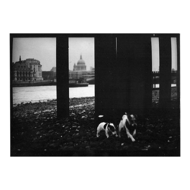 Untitled #21, Dogs St. Pauls From Eternal London, Giacomo Brunelli, 2013 For Sale