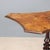 Small Antique Table in Mahogany For Sale - Image 3 of 9