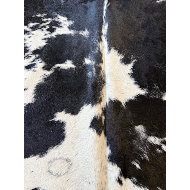 2000 - 2009 Natural Brazilian Extra Large Black & White Cowhide. 90" X 100" For Sale - Image 5 of 6