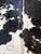 2000 - 2009 Natural Brazilian Extra Large Black & White Cowhide. 90" X 100" For Sale - Image 5 of 6