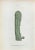 Vincenzo Tenore, The Euphorbiaceae, Lithograph, 1870s For Sale