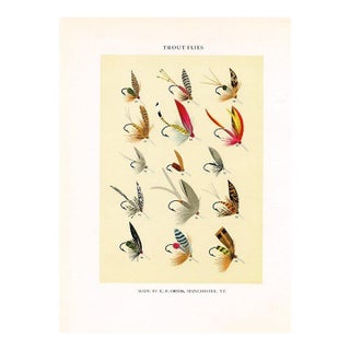 Vintage Trout Fishing Flies Print by Charles Orvis, Original Vintage Fishing Print, Lithograph For Sale