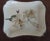 Ceramic 1800 - 1820 English Creamware Botanical Oblong Dessert Dish For Sale - Image 7 of 11
