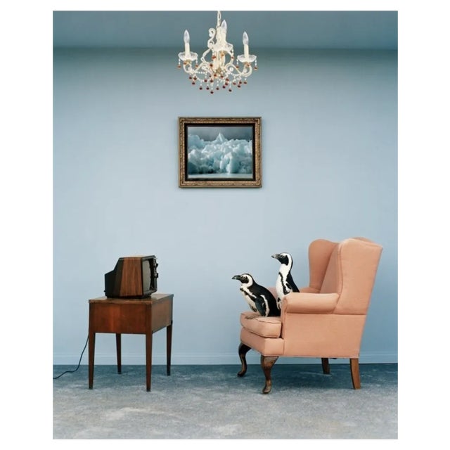 Matthias Clamer, Penguins on Chair Watching Television, Side View, Photographic Print, 2022 For Sale
