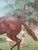 Vintage Signed Horse Racing Scene Painting, Framed For Sale - Image 4 of 6