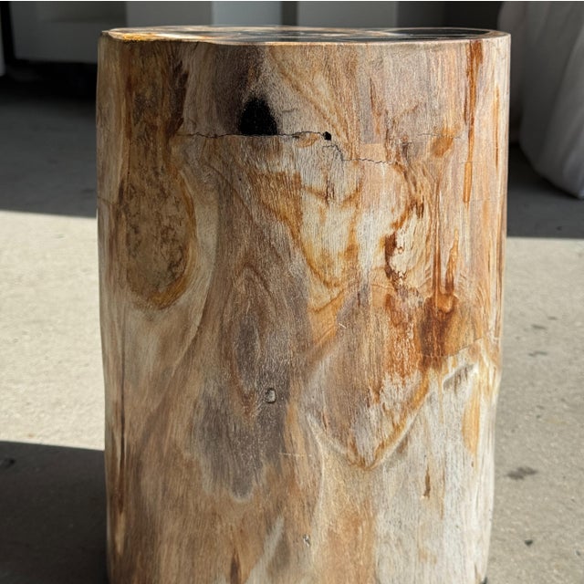 Petrified Wood Side Table For Sale - Image 6 of 18