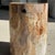 Petrified Wood Side Table For Sale - Image 6 of 18
