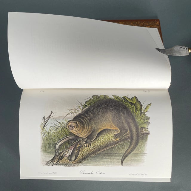 Vintage '79 Complete Audubon Vol. 5 National Society 75th Anniversary Ed. W/ Box For Sale - Image 9 of 12