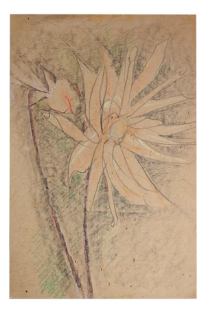 Victor Karnauh, Flower, 1990s, Pastel on Paper