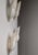 Danish Modern Kastrup Wall Sconce attributed to Vilhelm Lauritzen for Louis Poulsen, 1930, Set of 4 For Sale - Image 3 of 18