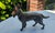 Vintage German Brass Shepherd Figurine, 1960s For Sale - Image 4 of 7