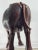 Brown Mid Century Large Hand Carved Water Buffalo For Sale - Image 8 of 8