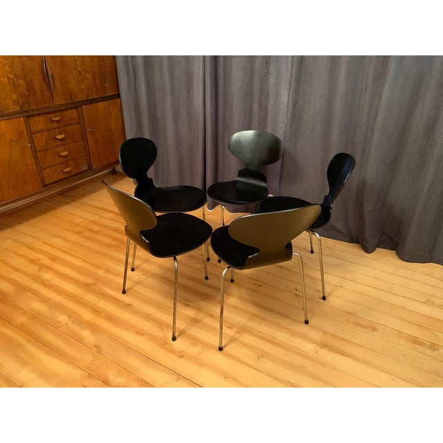 A set of five chairs early model 3100 by Arne Jacobsen for Fritz Hansen from 1963. Chairs in original and very good...