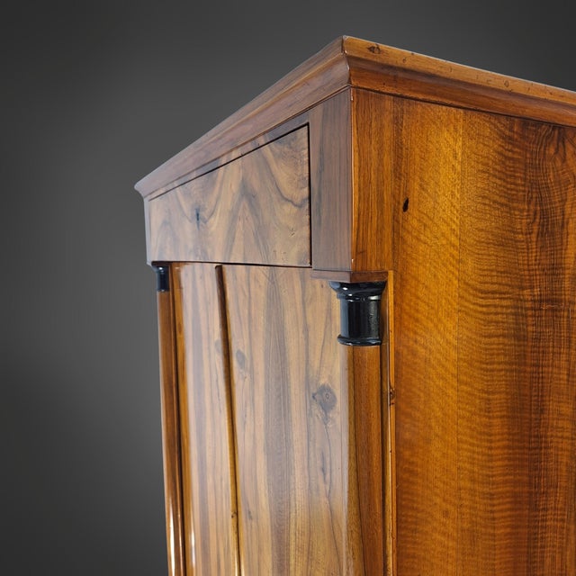 Brown Biedermeier Vertico Half-Cabinet with Half-Columns in Walnut, Germany, 1820s For Sale - Image 8 of 14