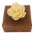 1940s Intricately Carved Tropical Wood Box With Sea Shells Flower For Sale