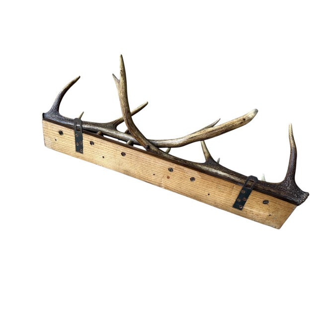1940s German Antler Hanging Rack Hats Clothes For Sale In Aspen - Image 6 of 6
