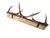 1940s German Antler Hanging Rack Hats Clothes For Sale In Aspen - Image 6 of 6