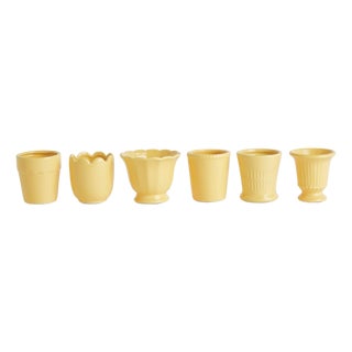 Mirabelle Mini Cachepots, Set Of 6 For Sale