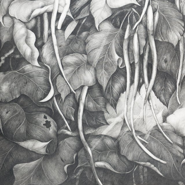 Drawing/Sketching Materials Cigar Tree #2 - Tomoko Parry, C. 1990s For Sale - Image 7 of 10