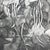 Drawing/Sketching Materials Cigar Tree #2 - Tomoko Parry, C. 1990s For Sale - Image 7 of 10