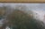 Green Late 20th Century L. Stephano Signed Impressionist Castle River Landscape Oil Painting 31" For Sale - Image 8 of 13