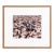 Spencer Tunick Nude Installation C-Print For Sale