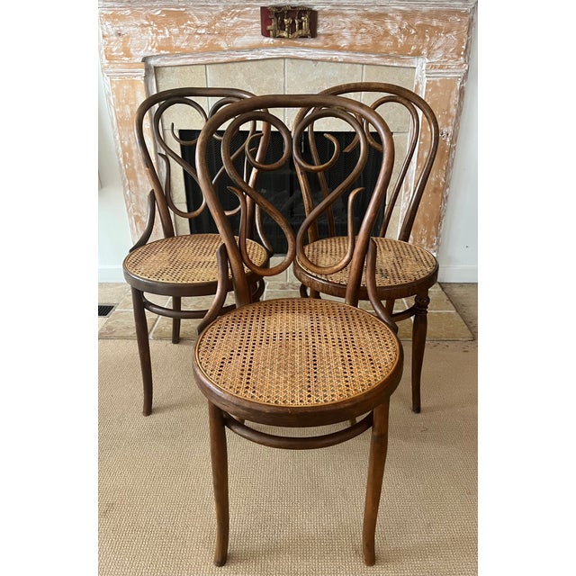 Mid-Century Modern Antique Bentwood Dining Chairs, Set/3 For Sale - Image 3 of 14
