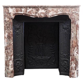 18th Century Parisian Louis XV Marble Fireplace For Sale