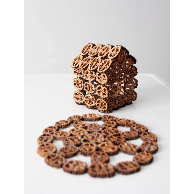 Vintage Walnut Slice Nut House and Tray Chairish