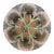 Antique 19thC Etruscan Majolica Shell and Seaweed Plate 8 1/4" Diameter For Sale