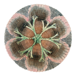 Antique 19thC Etruscan Majolica Shell and Seaweed Plate 8 1/4" Diameter