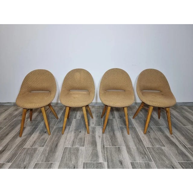 Armchairs by Miroslav Navratil, Set of 4 For Sale - Image 9 of 17