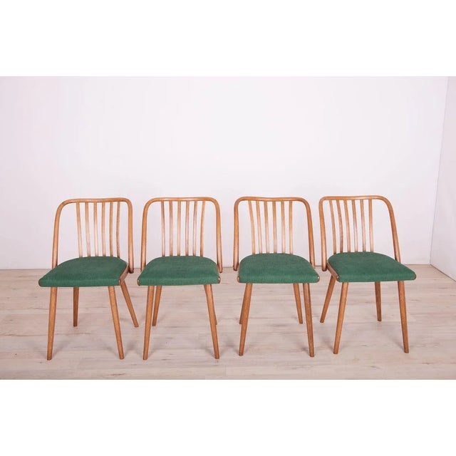Mid-Century Modern Green Dining Chairs by Antonín Šuman for TON, 1960s, Set of 4 For Sale - Image 3 of 16
