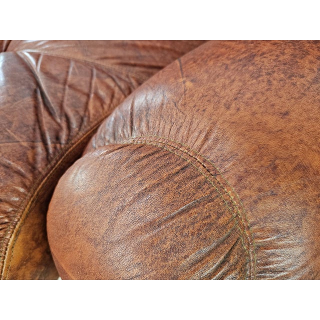 Topp Sofa in Burgundy Leather by Seven Salotti, 1970 For Sale - Image 11 of 16