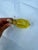 1960s Vintage Murano Glass Yellow Elephant Figurine For Sale - Image 5 of 6